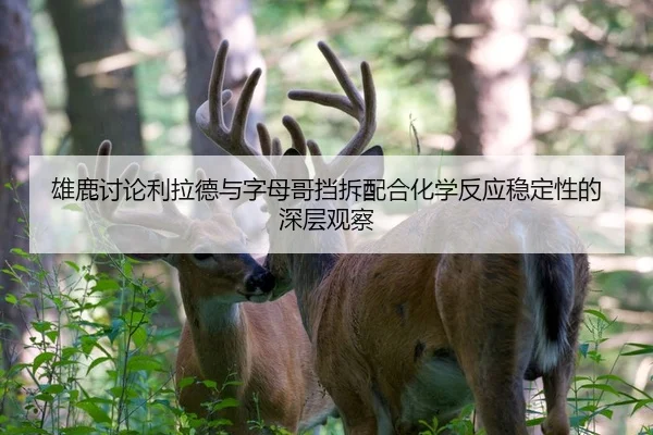 雄鹿讨论利拉德与字母哥挡拆配合化学反应稳定性的深层观察